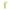 Verde Claro