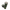 Verde Oscuro