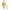 Amarillo